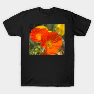 Resting Orange Poppies in the Sun T-Shirt